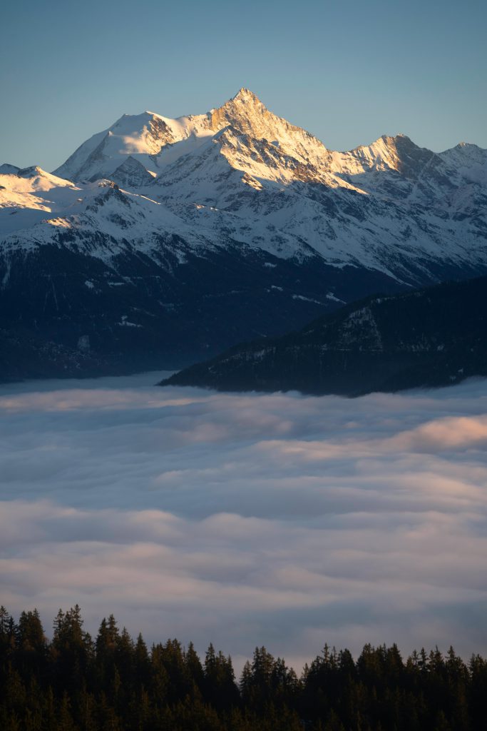 The Path Toward Liberation