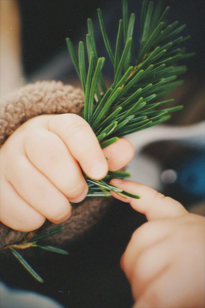 Early Childhood in R. Steiner’s Spiritual Science